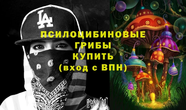 амф Заволжье