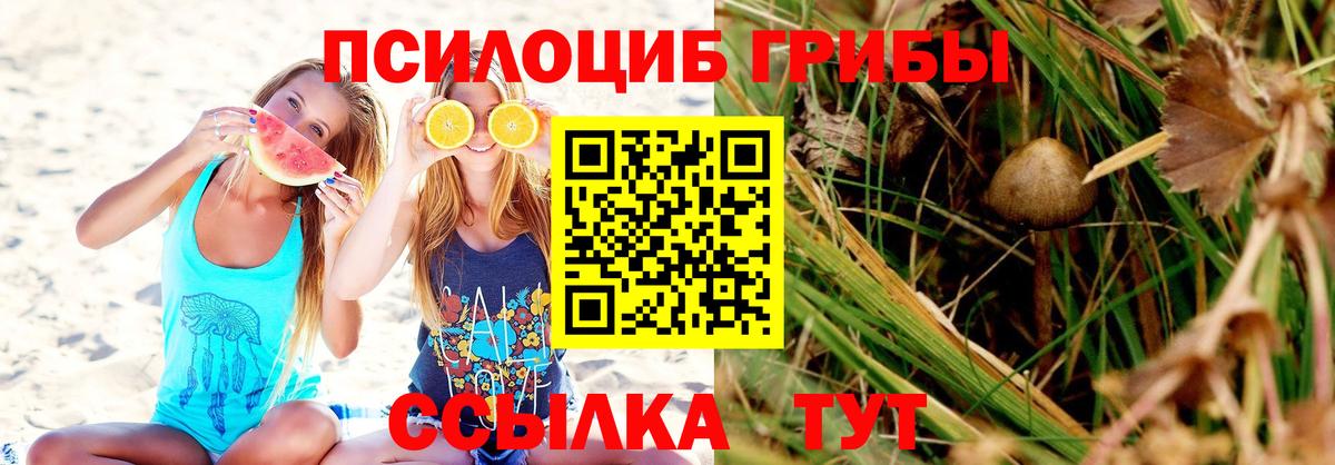 Псилоцибиновые грибы Psilocybe  как найти закладки  Кандалакша  Псилоцибиновые грибы прущие грибы  Вход с VPN 